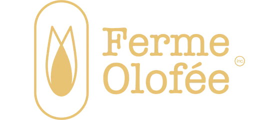 references logo